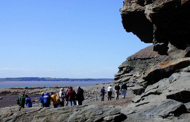 Walking on the beach at Joggins, Nova Scotia